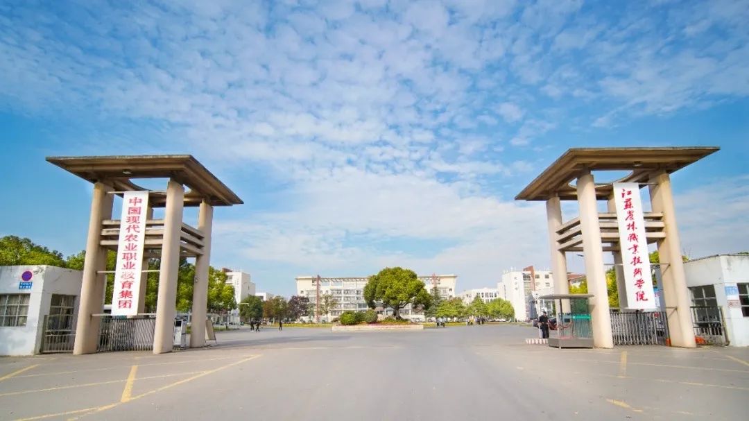 未畢業(yè)就定崗，一畢業(yè)就任教大學(xué)……這所職校的學(xué)生緣何這么牛,？