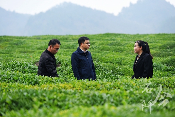 躬身為橋 緊盯供需連接山海 ——記廣東省粵黔協(xié)作工作隊(duì)銅仁工作組石阡小組組長(zhǎng),，石阡縣委常委,、副縣長(zhǎng)李浩泉